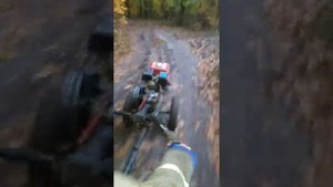 Покатушки на мотоблоке по лесу часть1