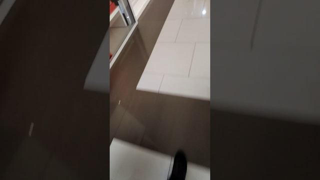 VID-20230203-WA0098.mp4