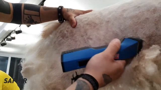 HEINIGER SAPHIR & SAPHIR CORD Evcil Hayvan Kırkma Makinesi! смотреть онлайн