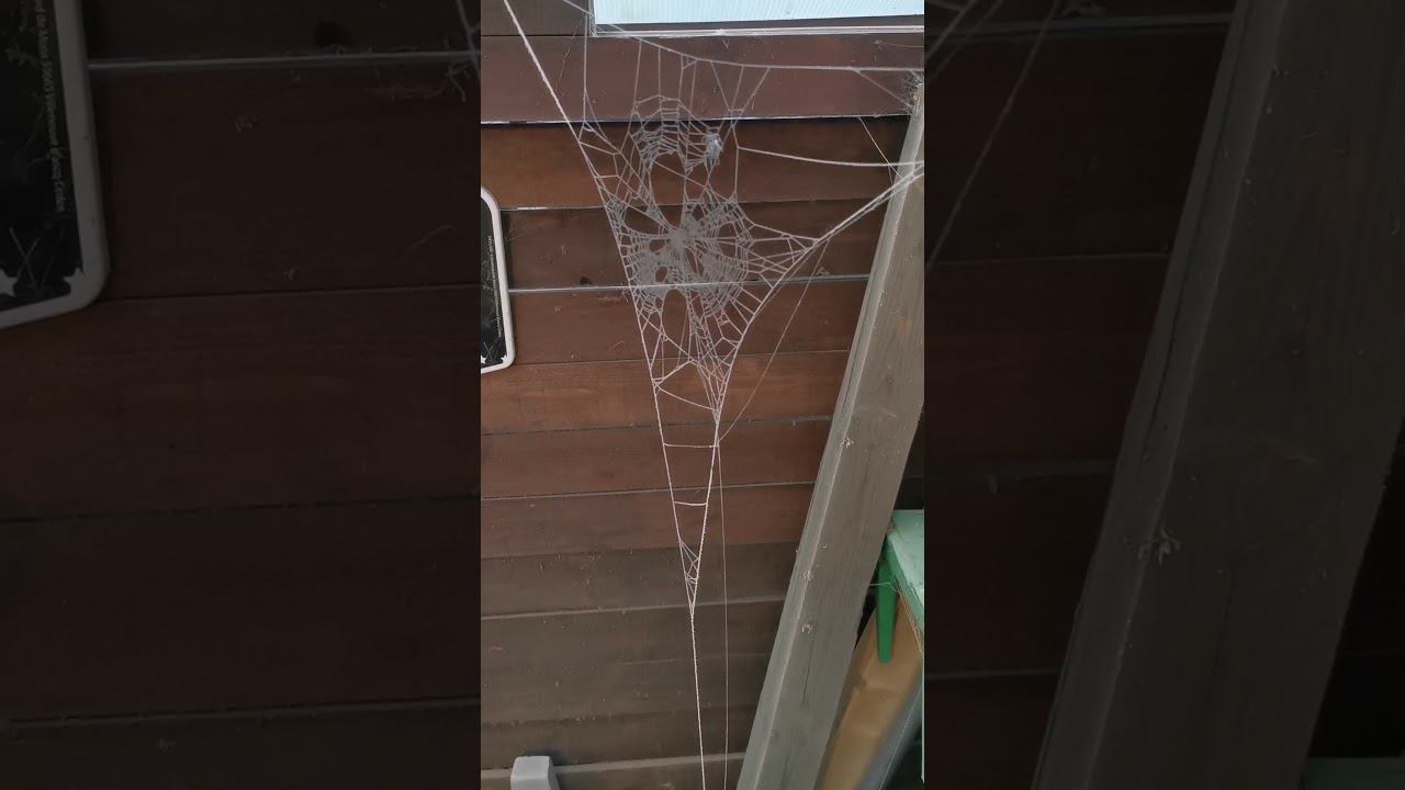 Реставрирую покрытие столешницы смотреть онлайн