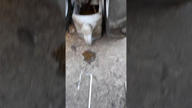 Замена масла в редукторе Мб-2 Нева смотреть онлайн