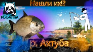 RF4 НАШЛИ МНОГО РАЗНОГО СЕКРЕТНОЕ МЕСТО ОТ ПОДПИСОНОВ #рр4