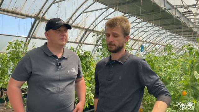 Теплиця на даху. Досвід використання біопрепаратів. смотреть онлайн