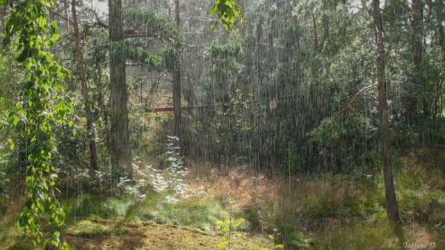 ГДЕ ТО ДАЛЕКО ИДУТ ДОЖДИ. смотреть онлайн