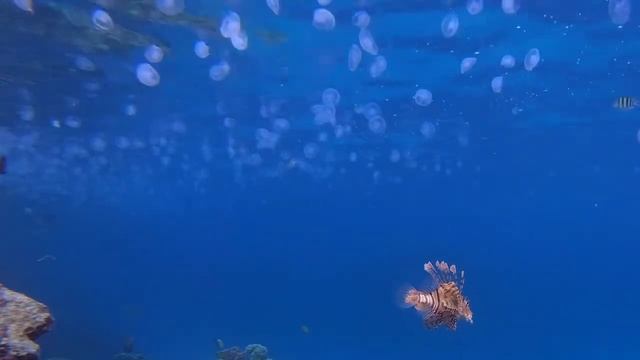 Невероятно красивая музыка свободы и безграничности! Послушайте!Сергея Чекалина - Через Вселенную.. смотреть онлайн