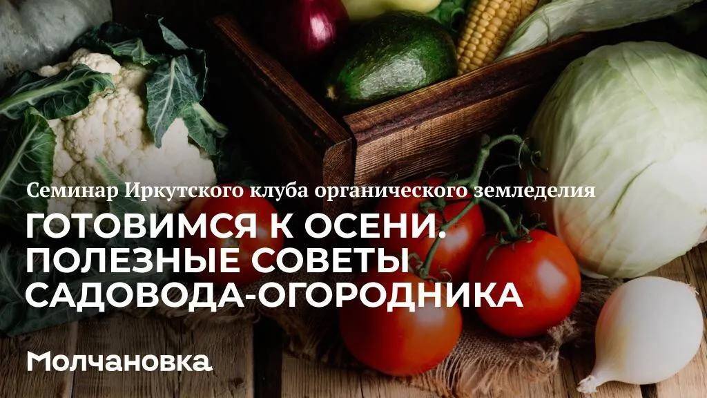3 сезон 29 семинар. Готовимся к осени. Полезные советы садовода-огородника