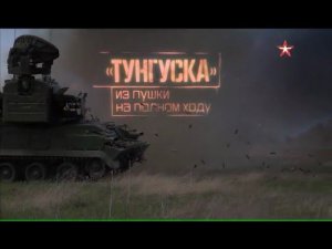 «Тунгуска». Из пушки на полном ходу»