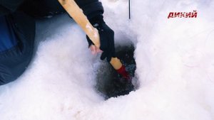 Сезон рыбалки. Зима. Подледная рыбалка на Иртыше