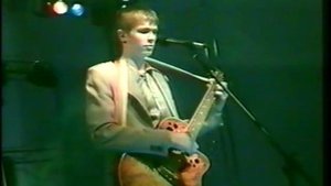 Авторская песня "Белая лебедь"