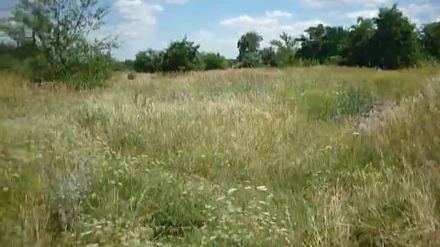 Лето,,,,АХ...Лето....в славном городе Новохопёрск 2022......Сенокос на окраине Новохопёрскка.ЛЕТОм! смотреть онлайн