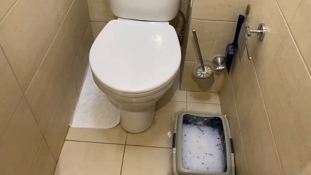 Как экономить на пеленках для животных? смотреть онлайн