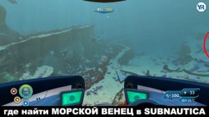 Subnautica ГДЕ НАЙТИ МОРСКОЙ ВЕНЕЦ