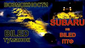 Туманки BILED на SUBARU // Это просто Бомба, а не Свет...