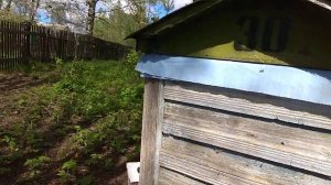 Как заставить пчёл летать через леток