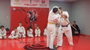 Тренировка Айкидо. Группа - дети и взрослые