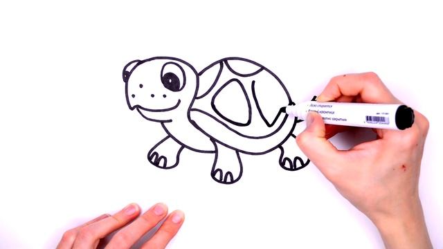 TURTLE. How to draw a turtle easy! Fast and beautiful