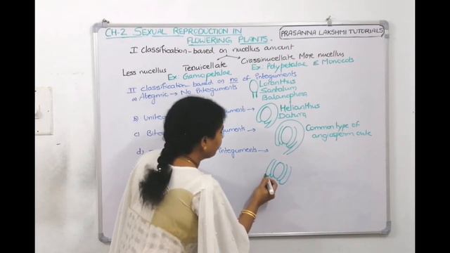 SEXUAL REPRODUCTION IN FLOWERING PLANTS lecture#6 смотреть онлайн