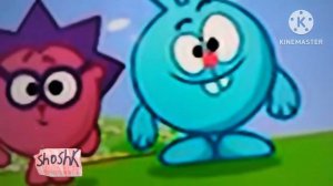 Shoshk club 2022 19.01 2024