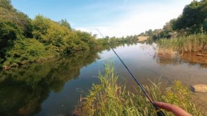 Мормышинг, новые насадки. Как ловить? Наноджиг