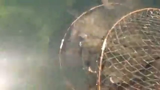 Рыбалка 7 июля Новый Свет 2017 смотреть онлайн