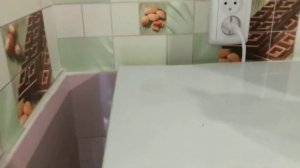 вот такие звуки издаёт холодильник