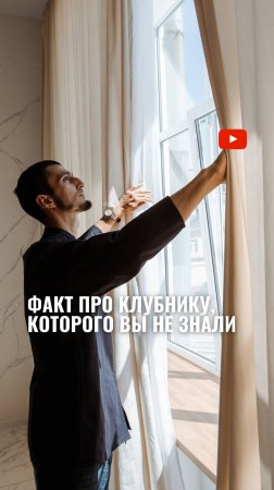 КЛУБНИКА: что вы о ней не знали. Интересный факт