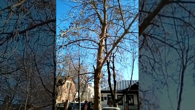 Беседа возле Княжества Краснодарский краевой суд смотреть онлайн