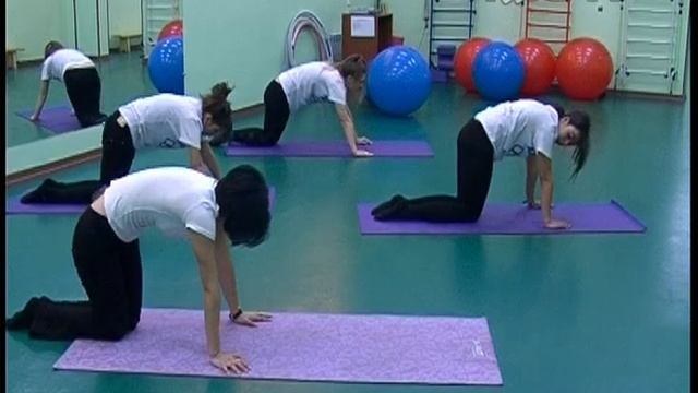 Искусство спорта. Фитнес-аэробика, урок первый.