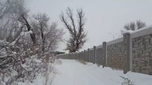 TLC Prado 78 - свап машины