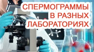 Спермограммы в разных лабораториях / Доктор Черепанов