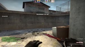 MY CS:GO TEAM PLAYED AGAINST PASHABICEPS AND WON $10.000 (not)