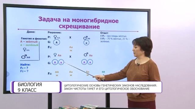 Биология. 9 класс. Цитологические основы генетических законов наследования