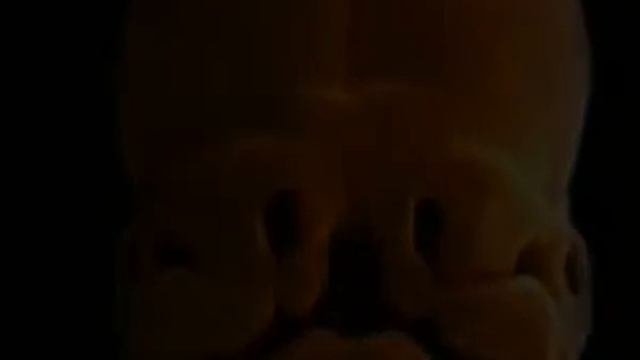 внутриутробное зарождение и развитие жизни