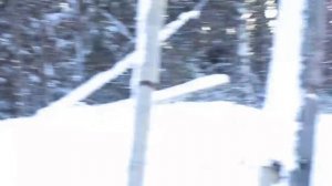 Динго 150 (по горам).mp4