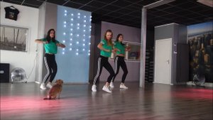 Calypso - Luis Fonsi - Easy Fitness Dance Choreography - Baile - Coreografia