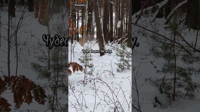 "Под тихий снегопад и тонкий запах хвои..."- Юлия Вихарева смотреть онлайн