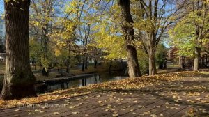 В тихом омуте. Аудио рассказ