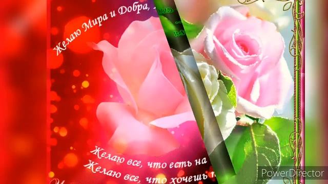 Я ТЕБЕ ЖЕЛАЮ СЧАСТЬЯ, МНОГО, НАСТОЯЩЕГО!