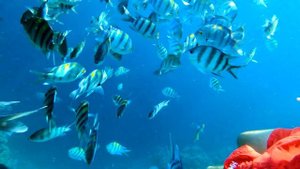 ЕГИПЕТ. Набережная и Обзор Пляжей Бухты Рас-Насрани || Пляжи в отлив || Лучший пляж Шарм Эль Шейх