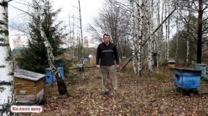Собирать ли гнезда в зиму и использовать ли дедовский способ при зимовке пчёл.