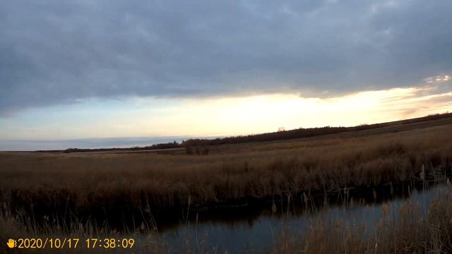 Перелётной утки нет! Воды нет! Патроны феттер полный отстой!!! смотреть онлайн