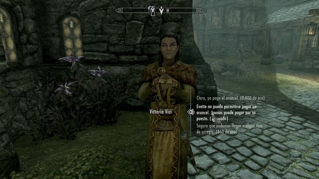 Vittoria Vici y el Vino Especiado -Objetivo Vario- Skyrim! смотреть онлайн