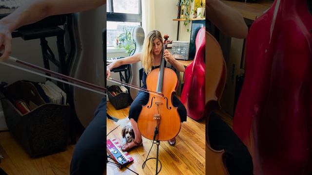 Sonnet 35 смотреть онлайн