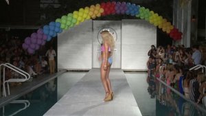 Wildfox Cruise 2014.mp4