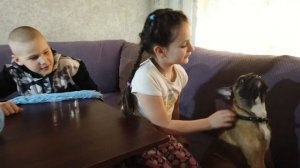 Лайфхак.Как сделать шапочку для собаки