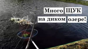Дикое озеро Карелии со ЩУКАМИ | Удачная рыбалка с байдарки, жор щучий, клёв на спиннинг летом