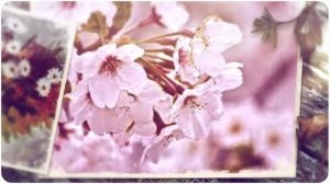 прикольные поздравления на 50 женщине