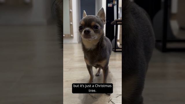 Льоня без ялинки 2 смотреть онлайн