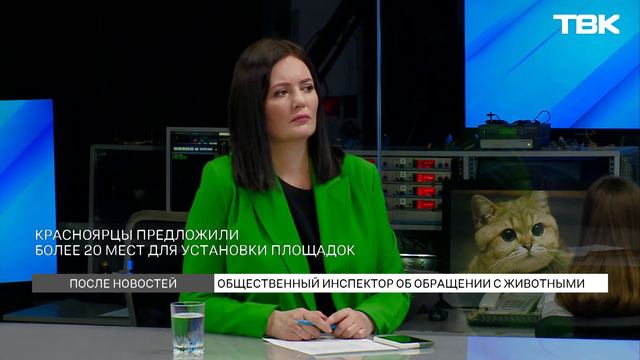 Собачьи экскременты на газонах – кто должен убирать? / «После новостей» смотреть онлайн
