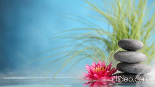 Лечебная музыка для глубокого сна и восстановления сил смотреть онлайн